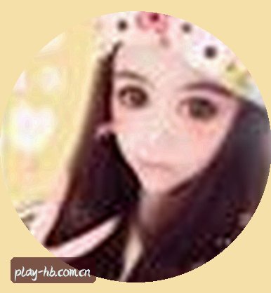 赵静